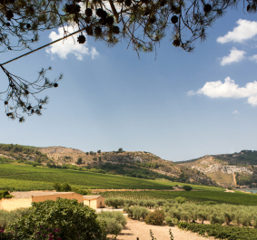 Planeta Cantina Ulmo